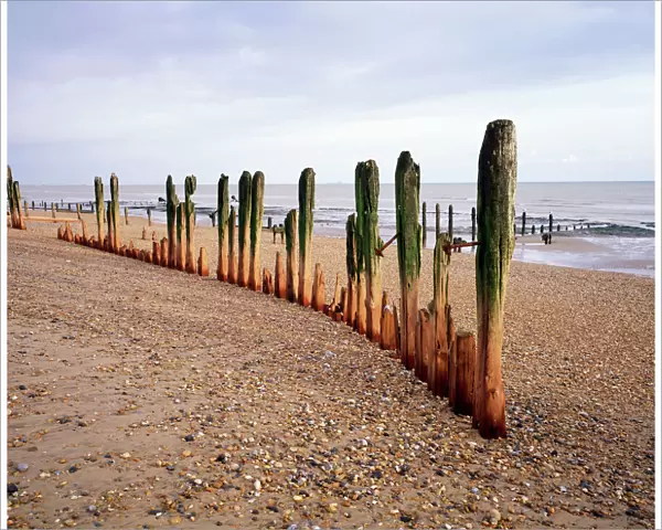 Beach Weathered groynes at Winchelsea Beach, East Sussex, UK