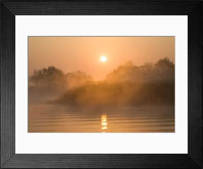 Framed Print : Sunrise Over misty reedbeds and broad Hickling Broad Norfolk UK Framed Print : Sunrise Over misty reedbeds and broad Hickling Broad Norfolk UK