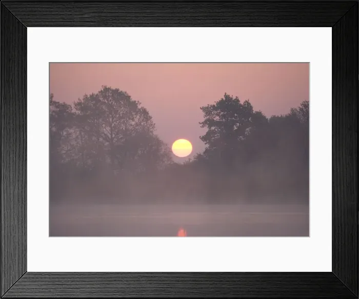 Framed Print : Sunrise Through trees on edge of broad Hickling Broad Norfolk UK Framed Print : Sunrise Through trees on edge of broad Hickling Broad Norfolk UK