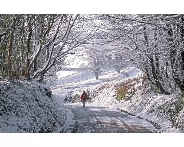 Solitary female pedestrian walks through snow covered English winter landscape along country lane bordered by tall hedges and overhanging trees toward more open sunlit countryside. Devon, UK