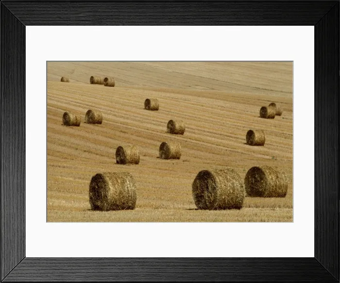 Framed Print : FARMING - Straw bales in field Framed Print : FARMING - Straw bales in field