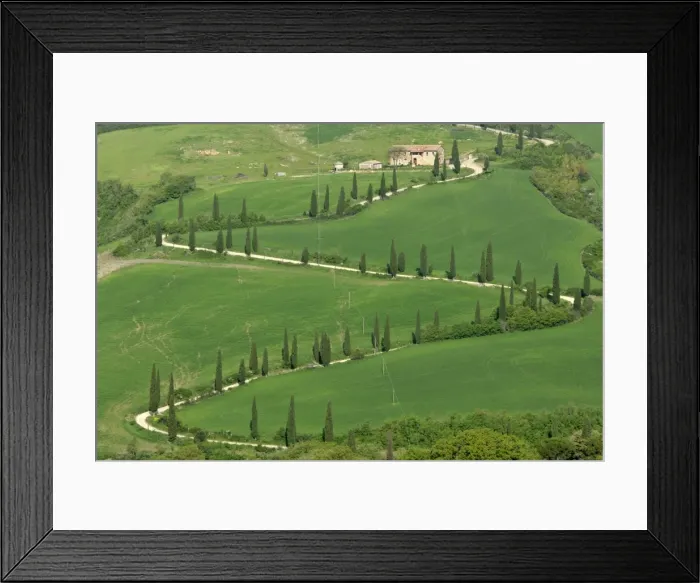 Framed Print : Cypress avenue zigzag road leading to a farm on top of a hill Tuscany, Italy Framed Print : Cypress avenue zigzag road leading to a farm on top of a hill Tuscany, Italy
