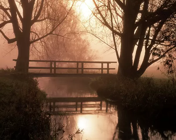 Romantic bridge spanning brook in morning mist Baden-Wuerttemberg, Germany
