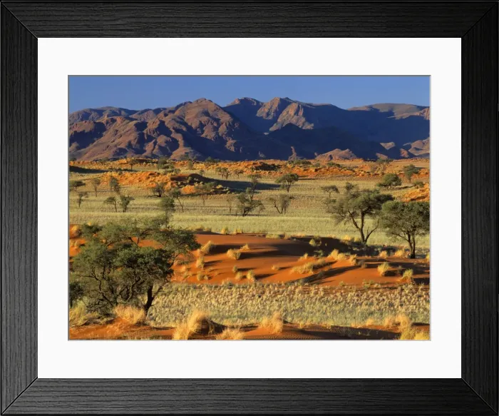 Framed Print : Namib Rand view over red dunes and savanna to the Naukluft mountains Namib Rand Nature Reserve, Namibia, Africa Framed Print : Namib Rand view over red dunes and savanna to the Naukluft mountains Namib Rand Nature Reserve, Namibia, Africa