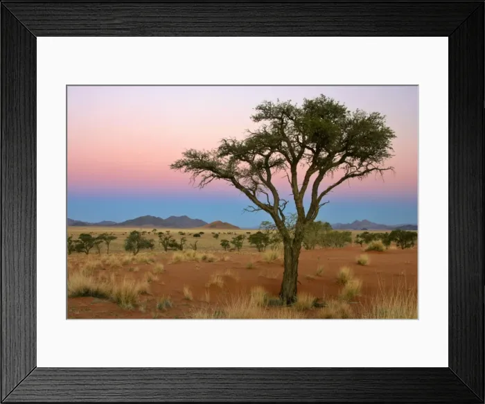Framed Print : Namib Rand view over dunes and savanna towards the Naukluft mountains in twilight Namib Rand Nature Reserve, Namibia, Africa Framed Print : Namib Rand view over dunes and savanna towards the Naukluft mountains in twilight Namib Rand Nature Reserve, Namibia, Africa