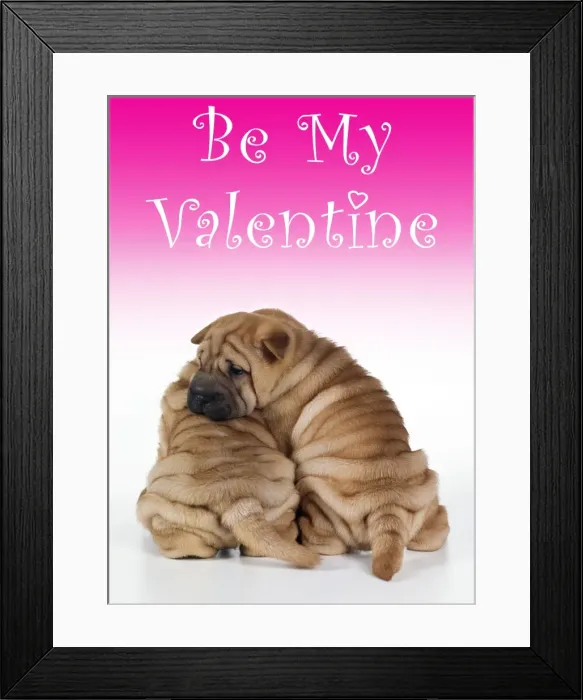 Framed Print : Shar Pei Dog 2 puppies - under valentines sign Framed Print : Shar Pei Dog 2 puppies - under valentines sign