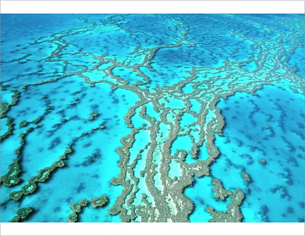 Great Barrier Reef Marine Park - Hardy Reef Queensland, Australia