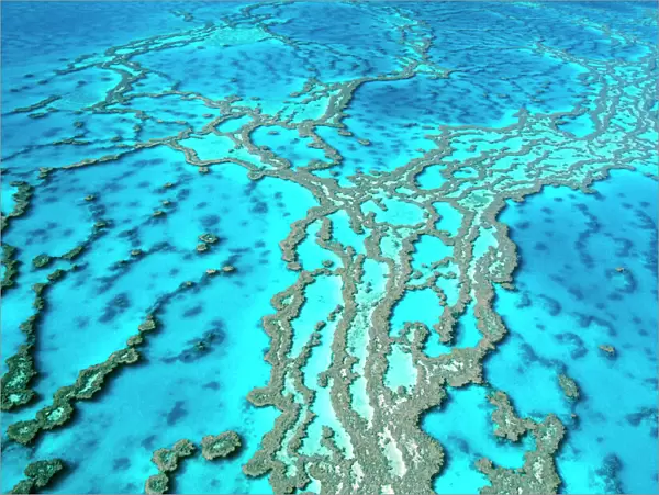 Great Barrier Reef Marine Park - Hardy Reef Queensland, Australia