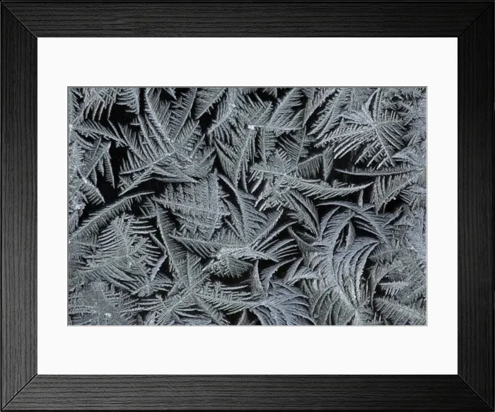Framed Print : Frost Crystals - On car windscreen Lower Saxony, Germany Framed Print : Frost Crystals - On car windscreen Lower Saxony, Germany