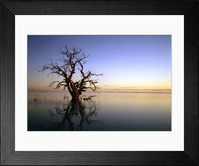 Framed Print : GRB00190. AUS-822. Lake Cawndilla at dawn with drowned tree Framed Print : GRB00190. AUS-822. Lake Cawndilla at dawn with drowned tree