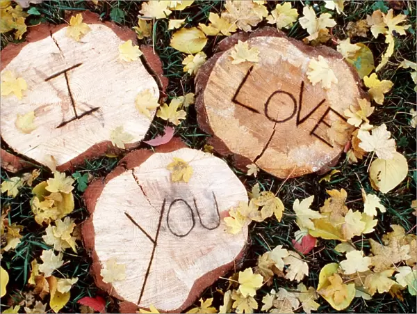 Cute - 'I Love You' carved in wood