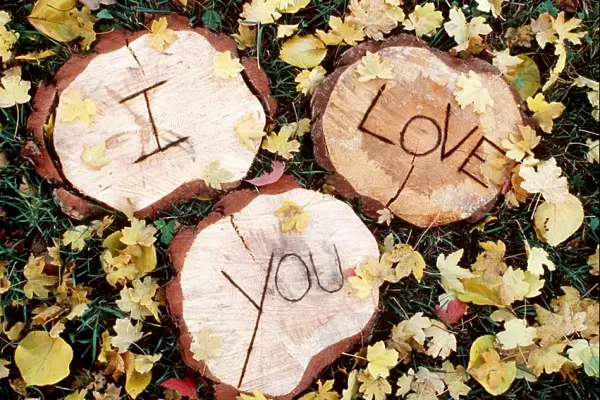 Cute - 'I Love You' carved in wood