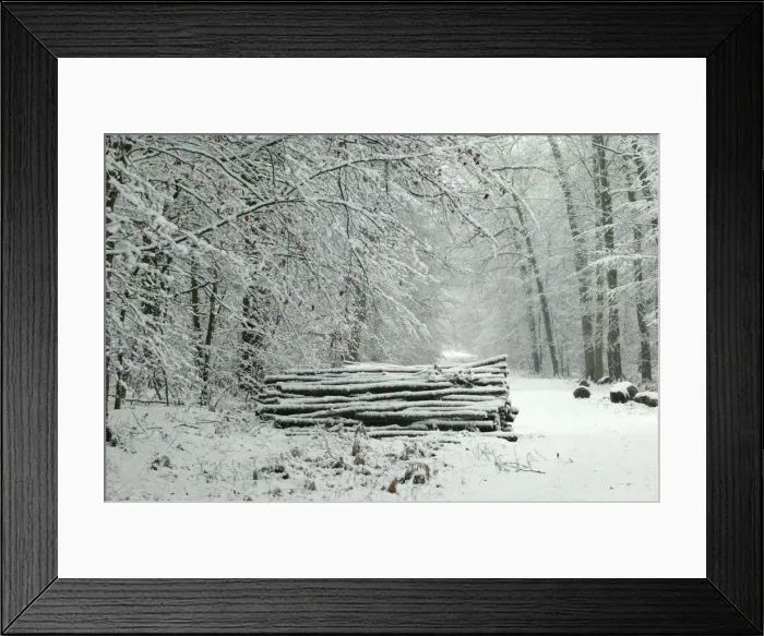 Framed Print : France - Compiegne Forest in snow, Oise Framed Print : France - Compiegne Forest in snow, Oise