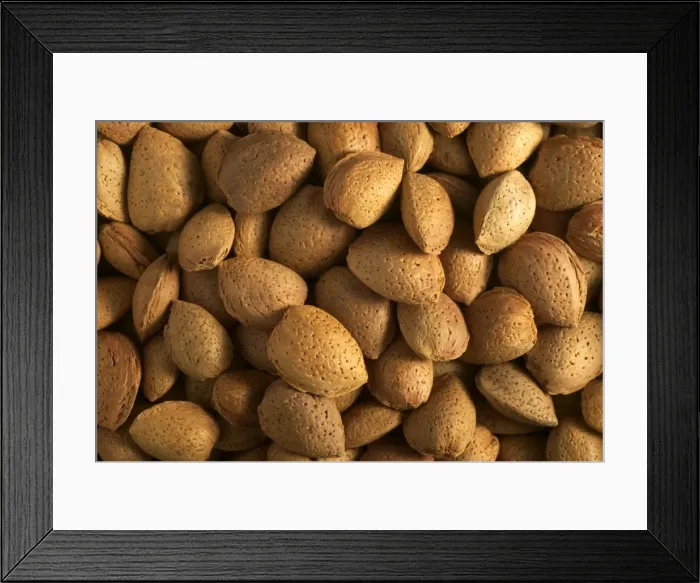 Framed Print : Almonds. LA-910. Almonds. Jean Michel Labat Framed Print : Almonds. LA-910. Almonds. Jean Michel Labat