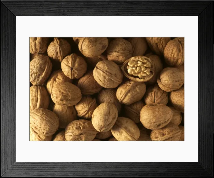 Framed Print : Walnuts. LA-914. Walnuts. Jean Michel Labat Framed Print : Walnuts. LA-914. Walnuts. Jean Michel Labat