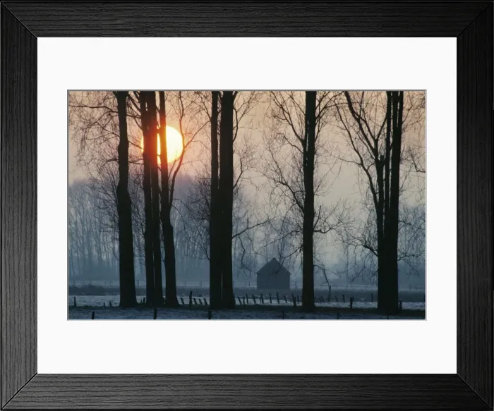 Framed Print : Sunset with poplars - countryside - winter Framed Print : Sunset with poplars - countryside - winter