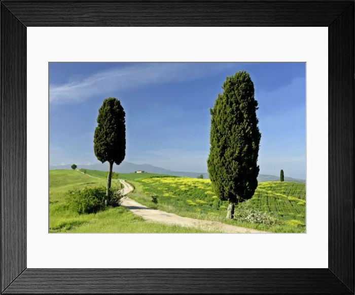 Framed Print : Tuscany landscape road leading to a farm with cypress trees and Monte Amiata in background Val d Orcia, Tuscany, Italy Framed Print : Tuscany landscape road leading to a farm with cypress trees and Monte Amiata in background Val d Orcia, Tuscany, Italy