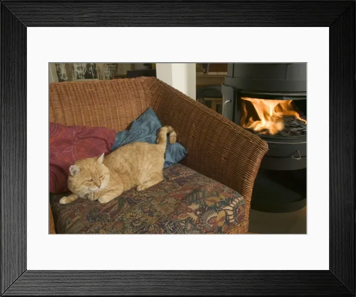 Framed Print : Old Cat - resting infront of fire Framed Print : Old Cat - resting infront of fire