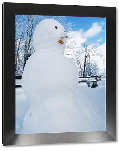 Snowman. ME-950. SNOWMAN. Johan De Meester