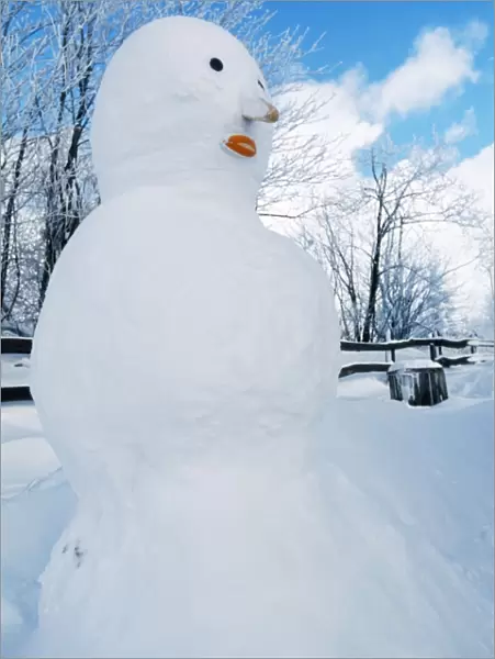 Snowman. ME-950. SNOWMAN. Johan De Meester