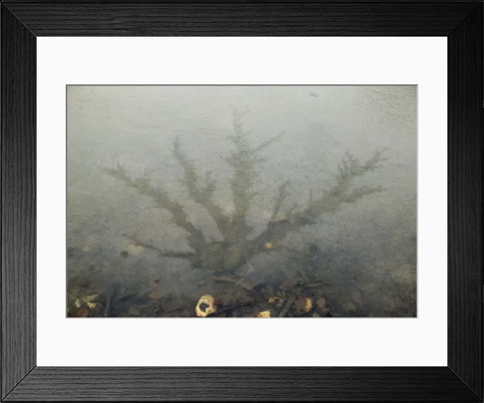 Framed Print : Ice - Geometrical shapes Framed Print : Ice - Geometrical shapes