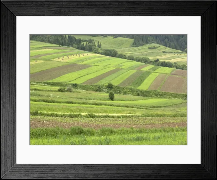 Framed Print : Open field systems in Tatra foothills, southern Poland, near Nowy Sacz Framed Print : Open field systems in Tatra foothills, southern Poland, near Nowy Sacz