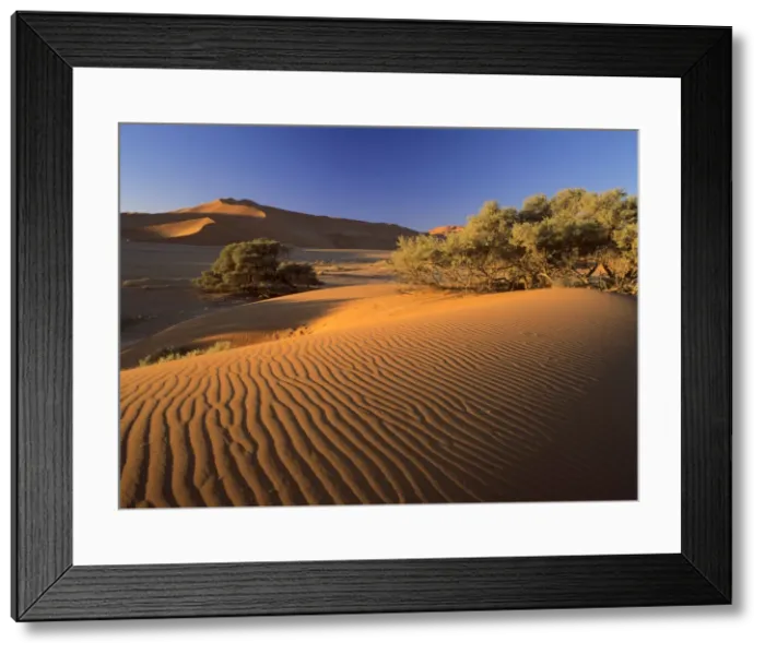 Framed Print : Namib desert red dunes at Sossusvlei with sand ripples Namib Naukluft Park, Namibia, Africa Framed Print : Namib desert red dunes at Sossusvlei with sand ripples Namib Naukluft Park, Namibia, Africa