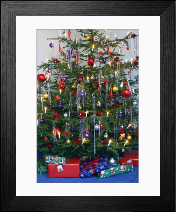 Framed Print : Christmas Tree - Norway spruce, young tree hung with decorations and presents Framed Print : Christmas Tree - Norway spruce, young tree hung with decorations and presents