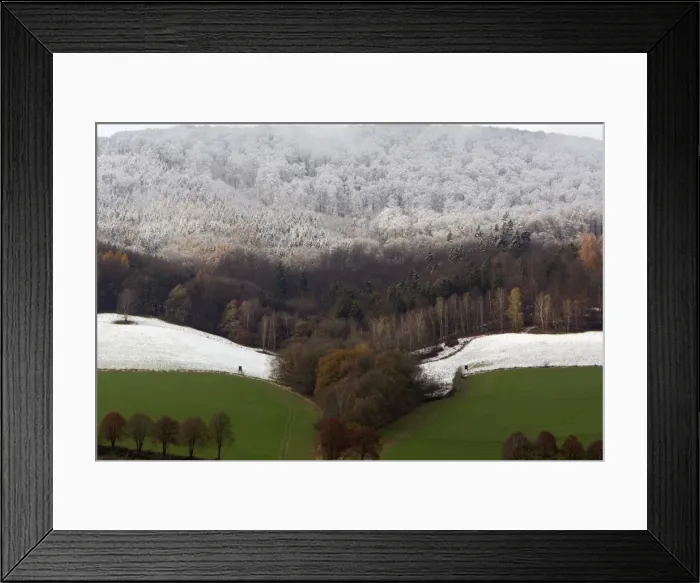 Framed Print : Early Snowfall - Showing snow-line on trees. Late october. Reinhard Forest, North Hessen, Germany Framed Print : Early Snowfall - Showing snow-line on trees. Late october. Reinhard Forest, North Hessen, Germany