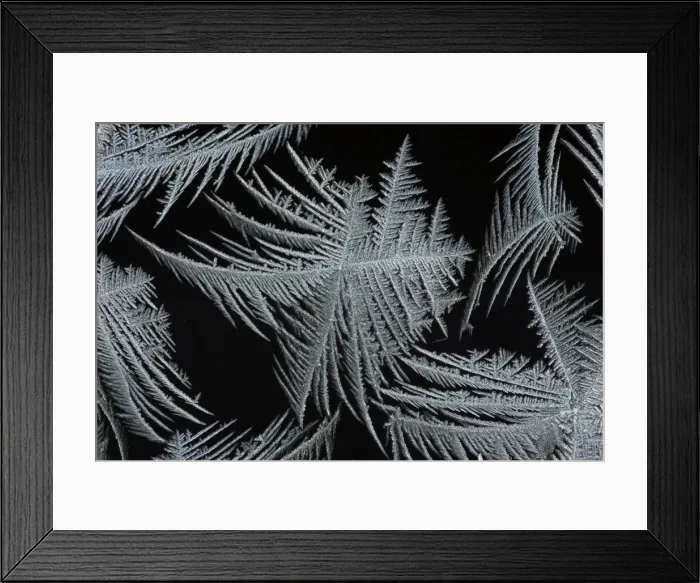 Framed Print : Frost Crystal - On car windscreen Lower Saxony, Germany Framed Print : Frost Crystal - On car windscreen Lower Saxony, Germany