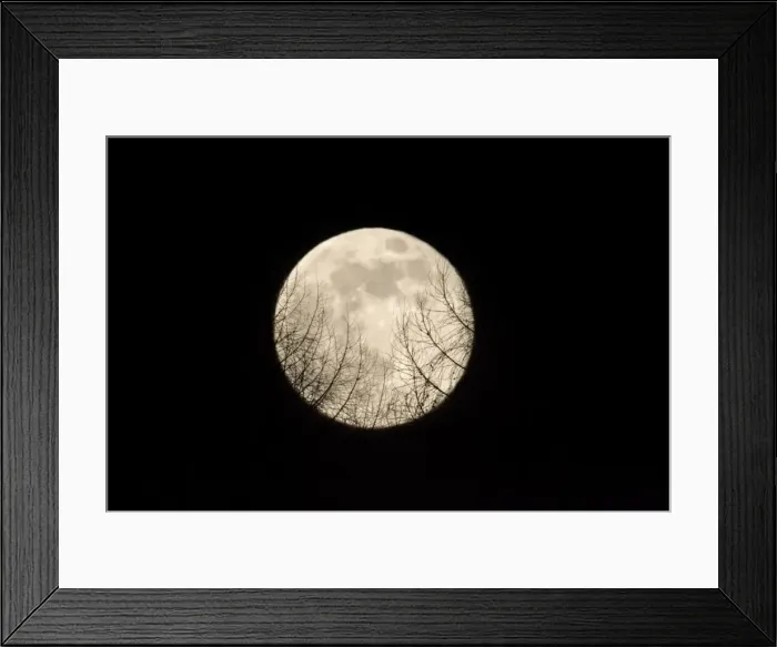 Framed Print : Full Moon - Raising over a forest Lower Saxony, Germany Framed Print : Full Moon - Raising over a forest Lower Saxony, Germany