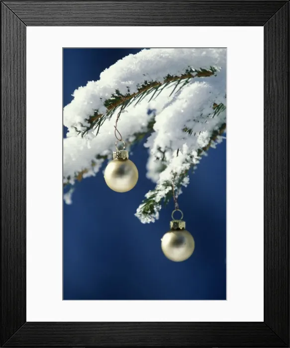 Framed Print : Golden balls on a pine branch with snow Christmas tree decoration Framed Print : Golden balls on a pine branch with snow Christmas tree decoration