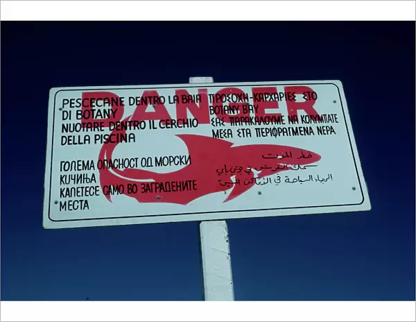 Shark warning sign - these signs are off most swimming beaches. This one is aimed at tourists who do not speak english. Sydney Australia