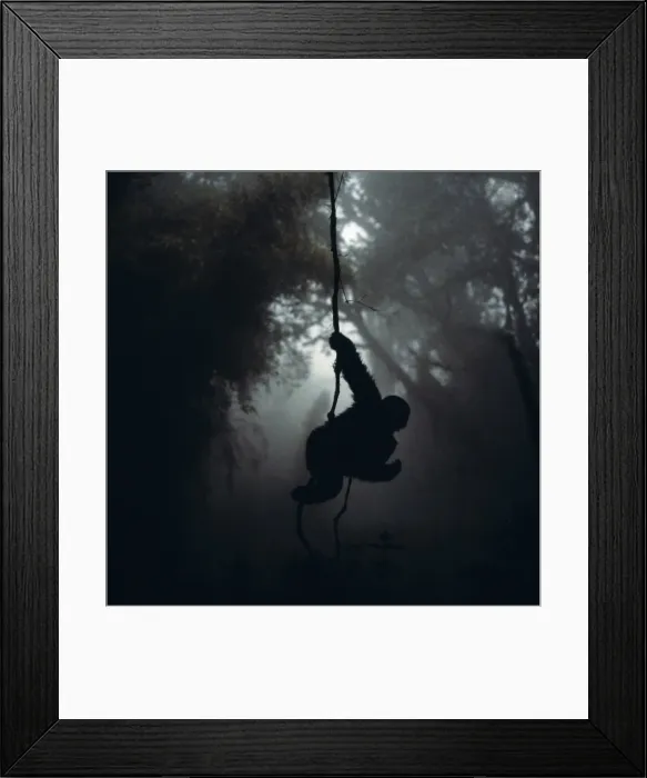 Framed Print : Mountain Gorilla Framed Print : Mountain Gorilla