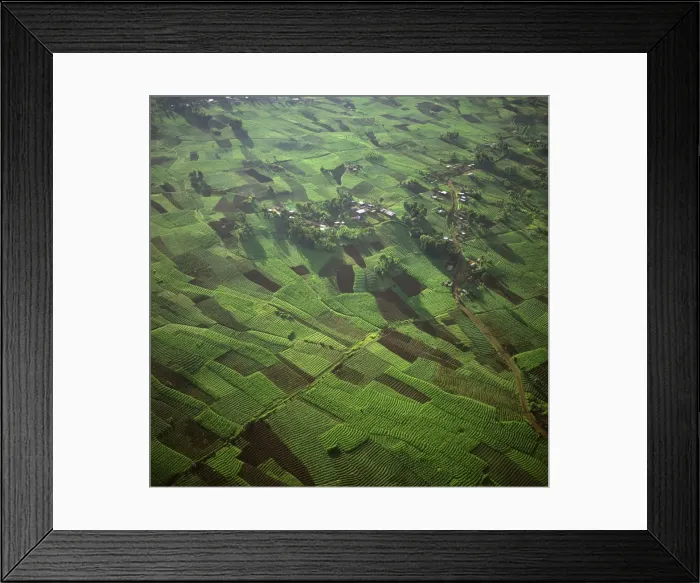 Framed Print : Rwanda - Aerial view of Africa, Intensive agriculture on Virunga foothills, 2003 Framed Print : Rwanda - Aerial view of Africa, Intensive agriculture on Virunga foothills, 2003
