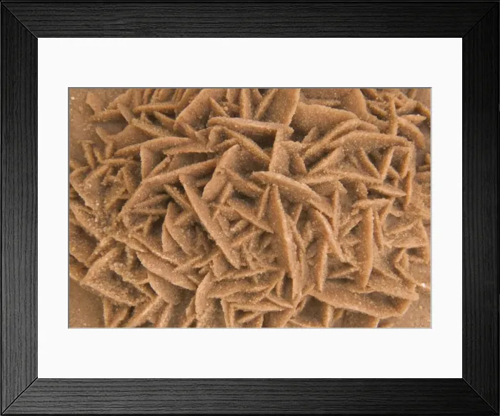 Framed Print : Desert Rose - Calcium sulphate Sahara Desert, Tunisia and Algeria 1E50T4213 Framed Print : Desert Rose - Calcium sulphate Sahara Desert, Tunisia and Algeria 1E50T4213