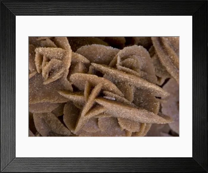 Framed Print : Selenite - Desert Rose - Bou Saada-Algeria Framed Print : Selenite - Desert Rose - Bou Saada-Algeria