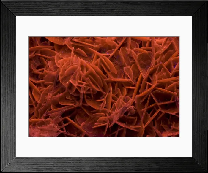 Framed Print : Fluorescent Mineral Calcite Charcas - San Luis Potosi - Mexico - Photographed under UV light Framed Print : Fluorescent Mineral Calcite Charcas - San Luis Potosi - Mexico - Photographed under UV light