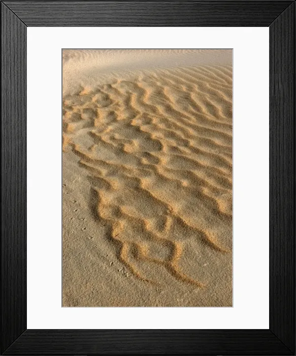 Framed Print : Sand waves above the tide line. High winds shift the lightweight sand to expose coarse, heavier sand. Punta Umbria. Spain Framed Print : Sand waves above the tide line. High winds shift the lightweight sand to expose coarse, heavier sand. Punta Umbria. Spain