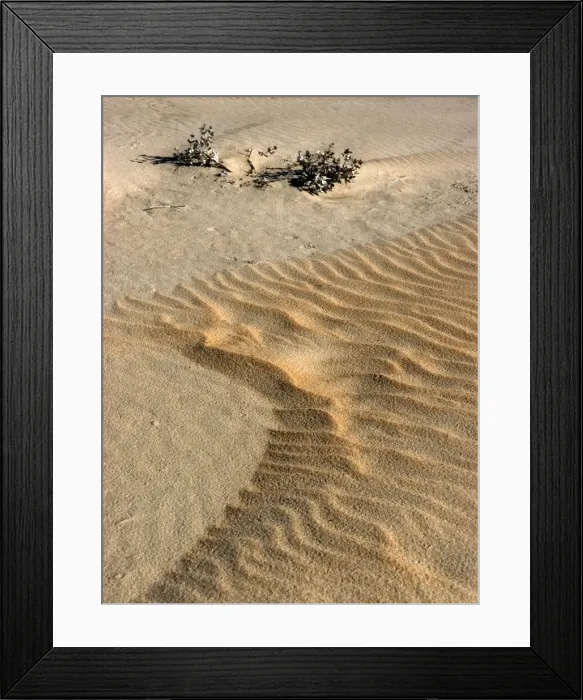 Framed Print : Sand waves above the tide line. High winds shift the lightweight sand to expose coarse heavier sand. Punta Umbria, Spain