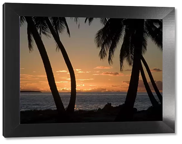 Sunset, Home Island, Cocos (Keeling) Islands, Indian Ocean. Coconut Palms