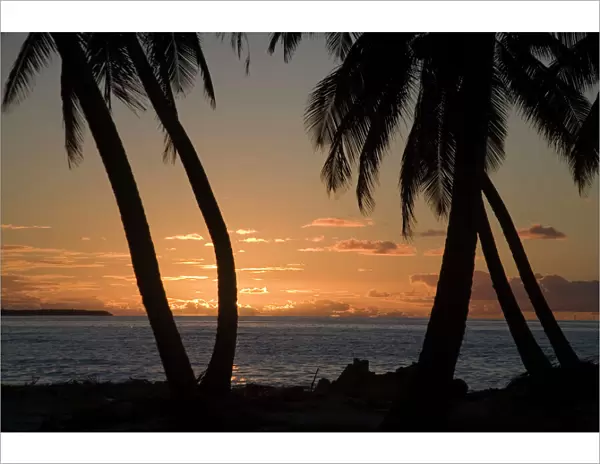 Sunset, Home Island, Cocos (Keeling) Islands, Indian Ocean. Coconut Palms