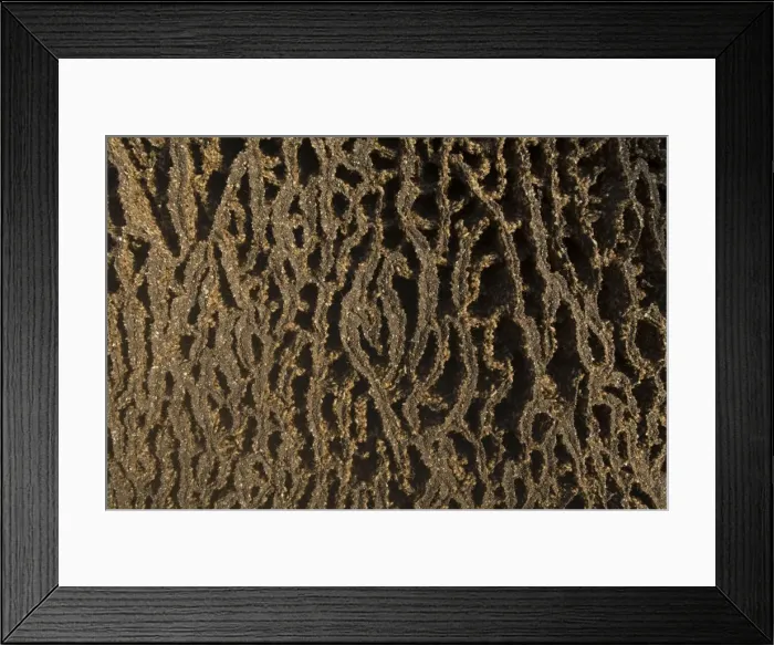Framed Print : Termites adding to a mound, Mitchell Plateau, Kimberley, Western Australia Framed Print : Termites adding to a mound, Mitchell Plateau, Kimberley, Western Australia