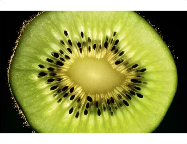 Kiwi Fruit - cross section showing seeds