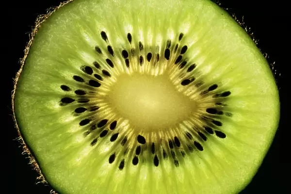 Kiwi Fruit - cross section showing seeds