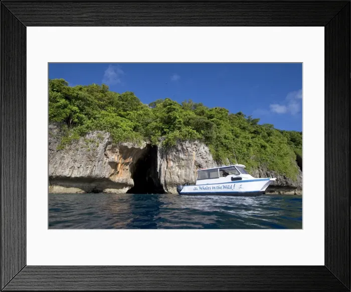 Framed Print : Small whale watching vessel - snorkeling at Swallow's Cave Vava'u, Kingdom of Tonga, South Pacific Framed Print : Small whale watching vessel - snorkeling at Swallow's Cave Vava'u, Kingdom of Tonga, South Pacific