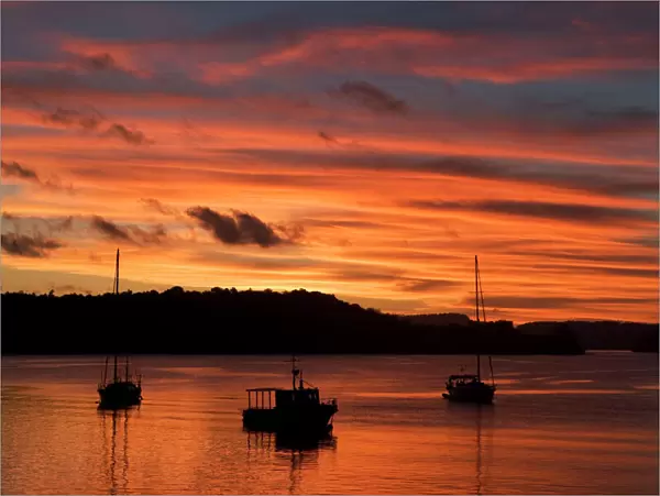 Tonga, South Pacific - Sunset, Harbor of Neiafu, Vava'u group Humpback Whale watching excursions start from this harbor