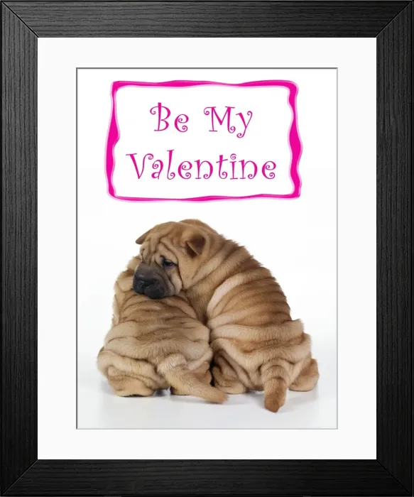 Framed Print : Shar Pei Dog 2 puppies under valentines sign Framed Print : Shar Pei Dog 2 puppies under valentines sign