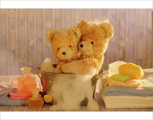 Teddy Bear - x2 teddies at bathtime