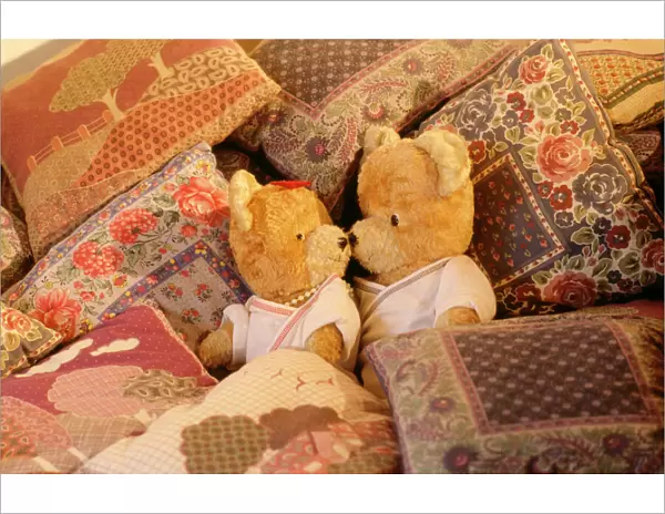 Teddy Bear - x2 teddies in bed